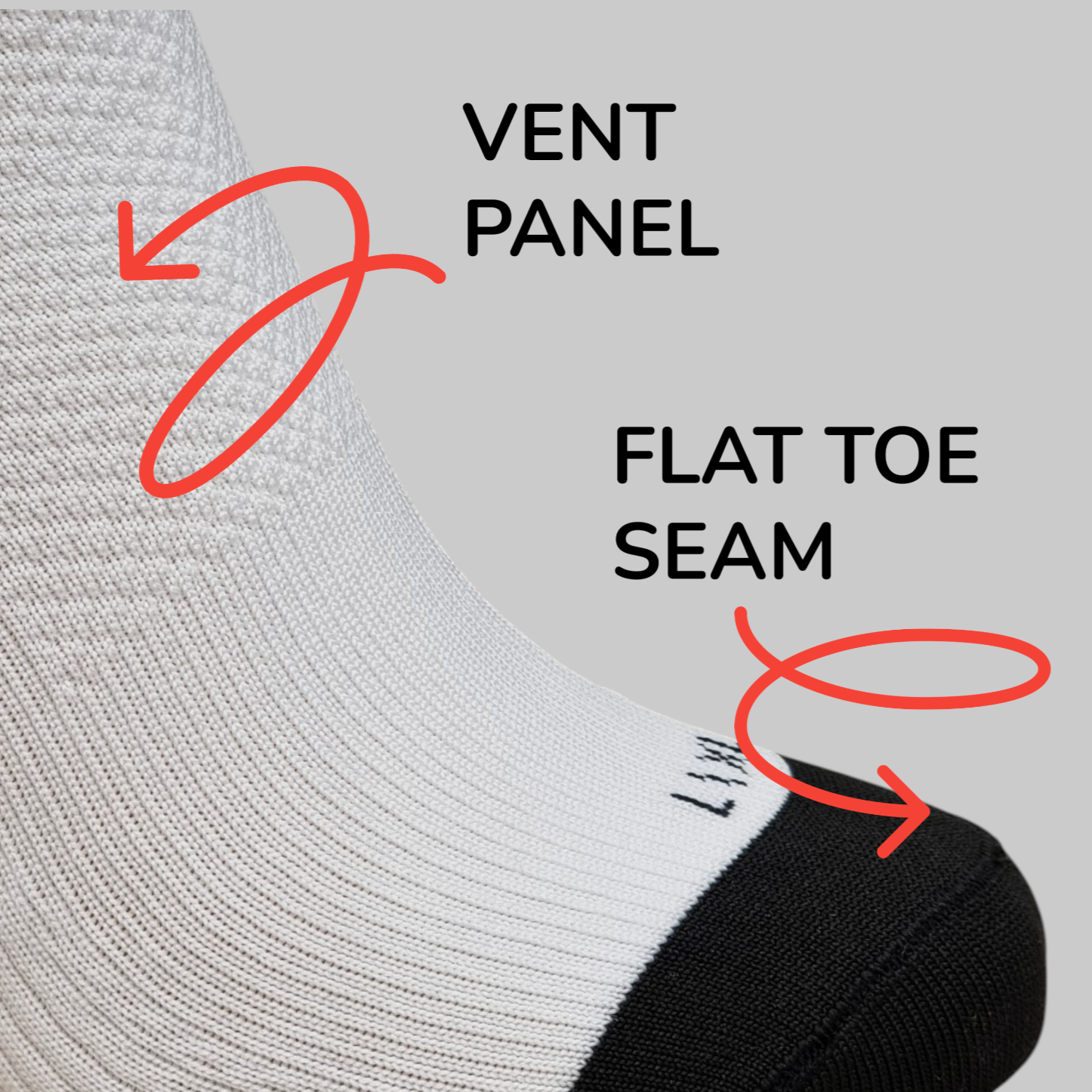 Socks Rebel Cat Collective